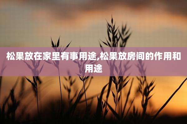 松果放在家里有事用途,松果放房间的作用和用途
