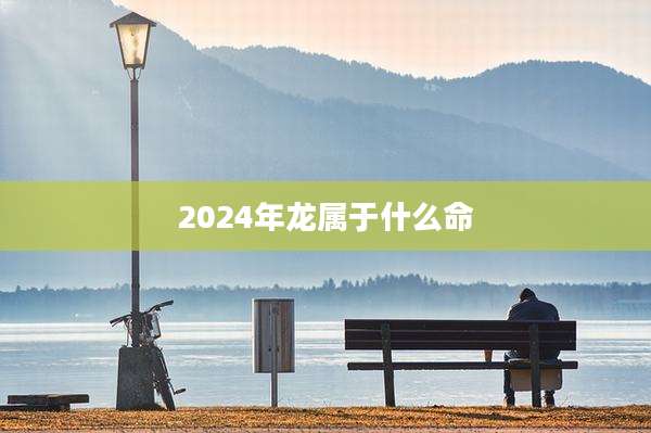 2024年龙属于什么命