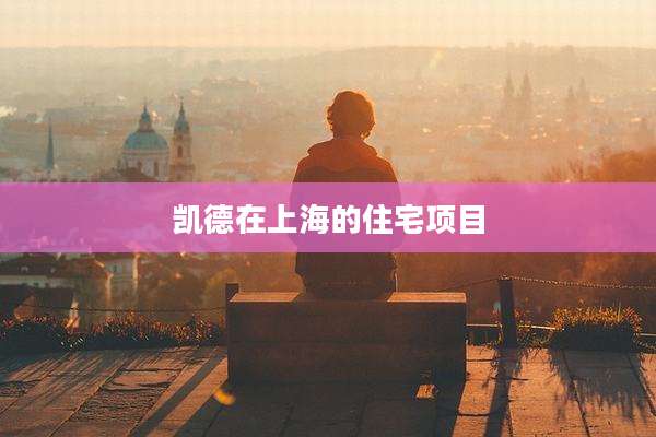 凯德在上海的住宅项目