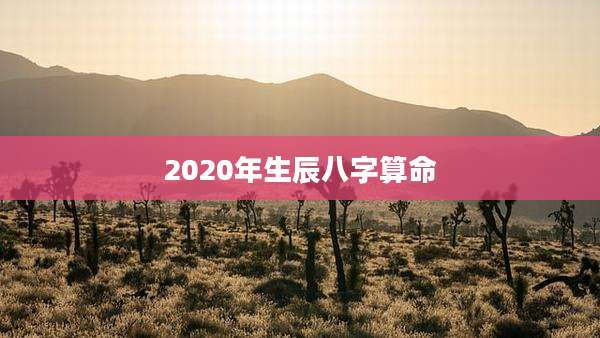 2020年生辰八字算命