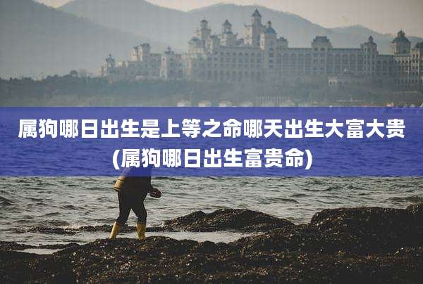 属狗哪日出生是上等之命哪天出生大富大贵(属狗哪日出生富贵命)
