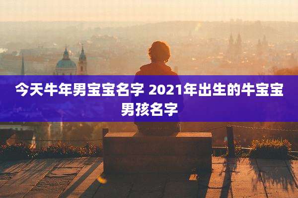 今天牛年男宝宝名字 2021年出生的牛宝宝男孩名字