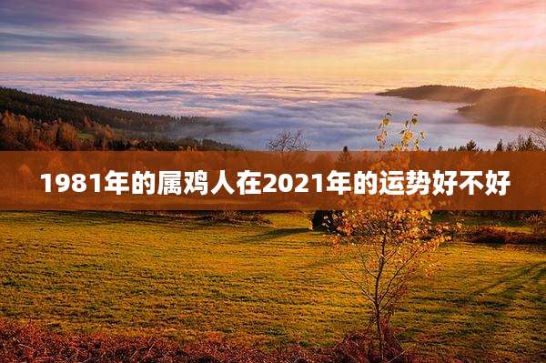 1981年的属鸡人在2021年的运势好不好