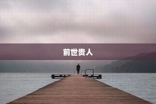 前世贵人