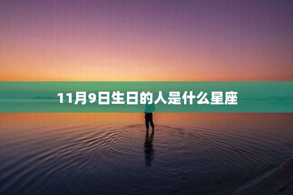 11月9日生日的人是什么星座