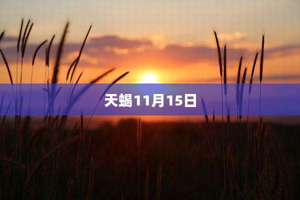 天蝎11月15日