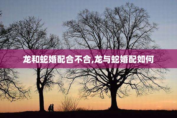 龙和蛇婚配合不合,龙与蛇婚配如何