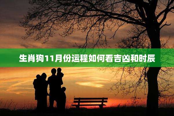 生肖狗11月份运程如何看吉凶和时辰