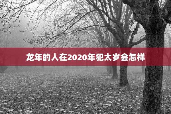 龙年的人在2020年犯太岁会怎样