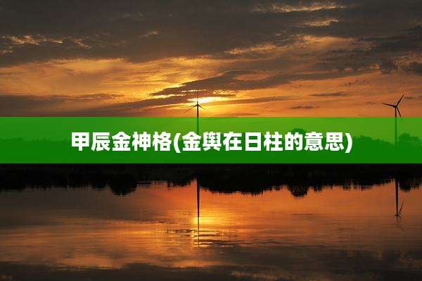 甲辰金神格(金舆在日柱的意思)
