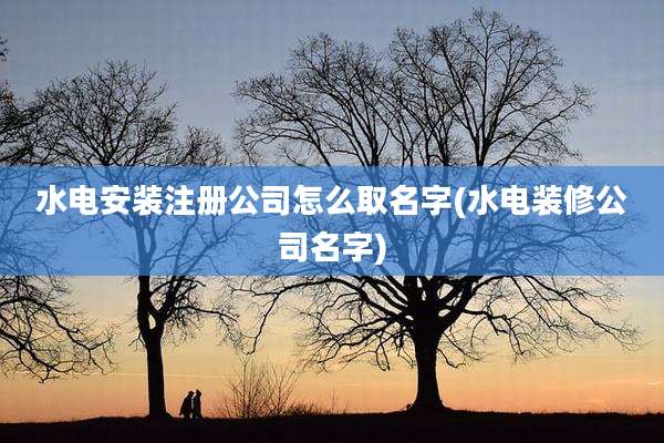 水电安装注册公司怎么取名字(水电装修公司名字)