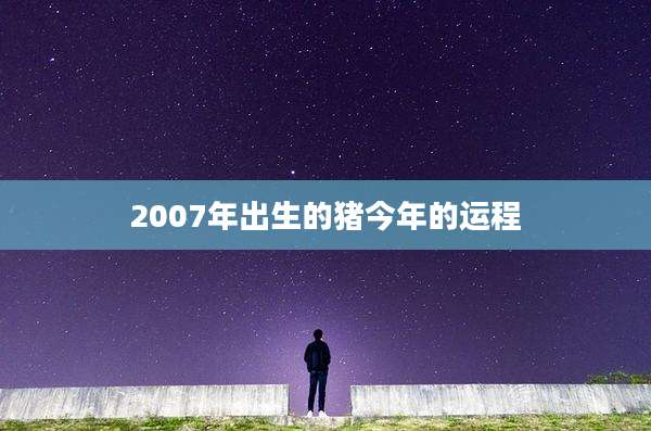 2007年出生的猪今年的运程