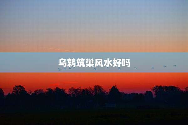 乌鸫筑巢风水好吗