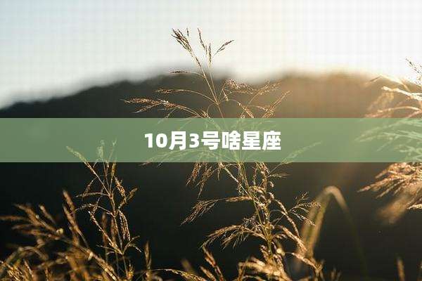 10月3号啥星座