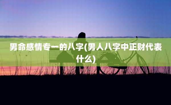 男命感情专一的八字(男人八字中正财代表什么)