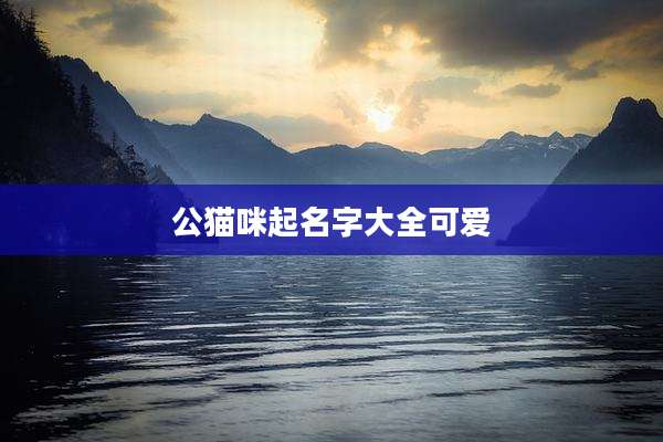 公猫咪起名字大全可爱