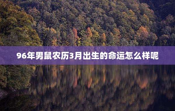 96年男鼠农历3月出生的命运怎么样呢