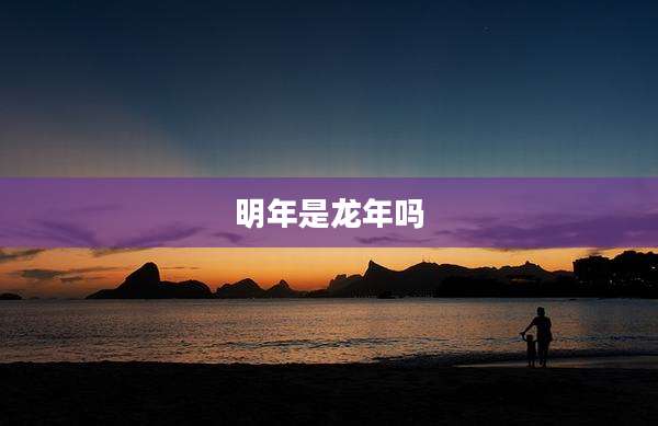 明年是龙年吗