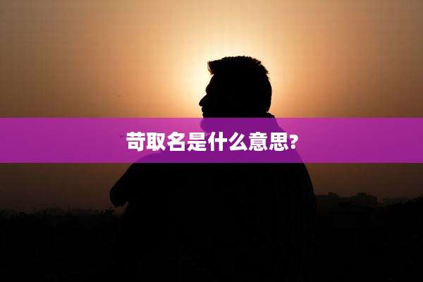 苛取名是什么意思?