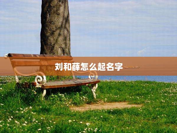 刘和薛怎么起名字