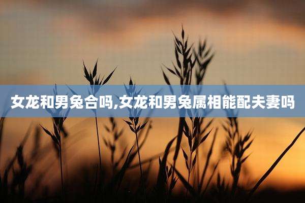 女龙和男兔合吗,女龙和男兔属相能配夫妻吗