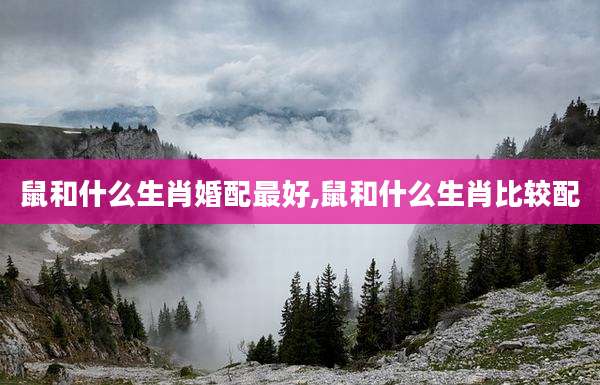 鼠和什么生肖婚配最好,鼠和什么生肖比较配