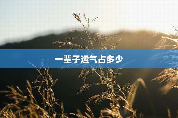 一辈子运气占多少