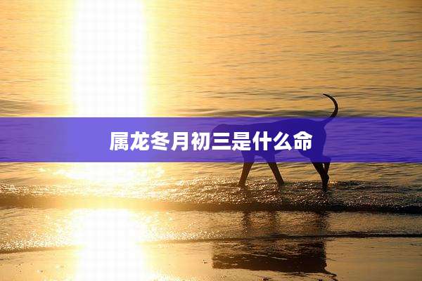 属龙冬月初三是什么命