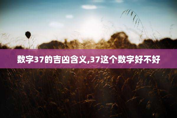 数字37的吉凶含义,37这个数字好不好