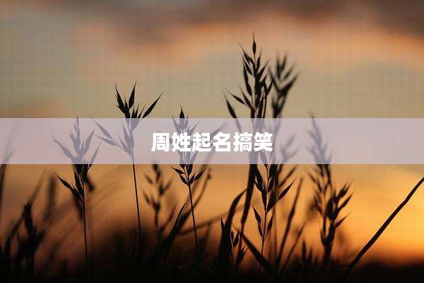 周姓起名搞笑