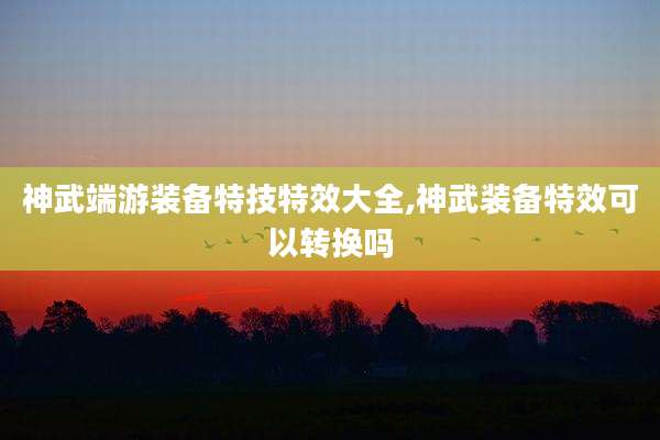 神武端游装备特技特效大全,神武装备特效可以转换吗