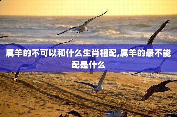 属羊的不可以和什么生肖相配,属羊的最不能配是什么