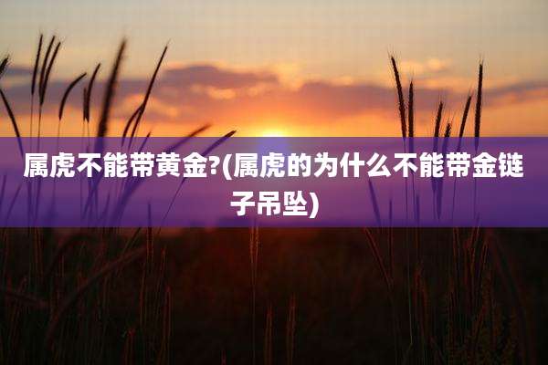属虎不能带黄金?(属虎的为什么不能带金链子吊坠)