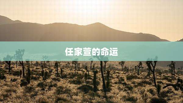 任家萱的命运