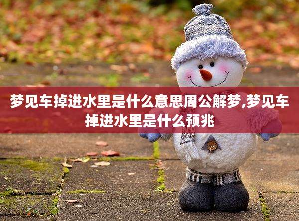 梦见车掉进水里是什么意思周公解梦,梦见车掉进水里是什么预兆