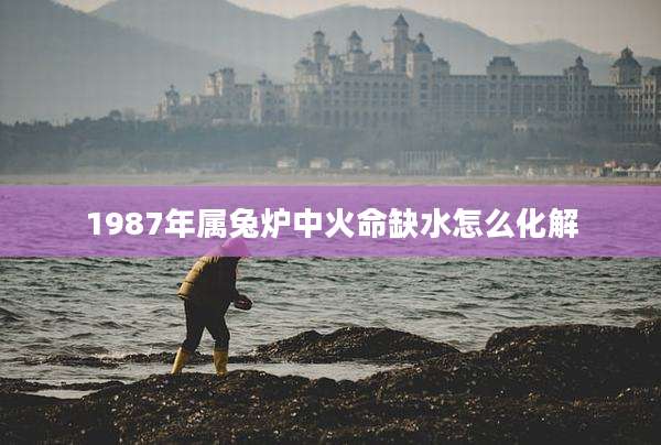 1987年属兔炉中火命缺水怎么化解