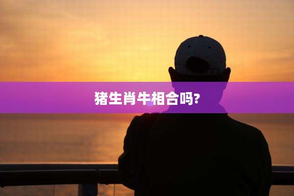 猪生肖牛相合吗?