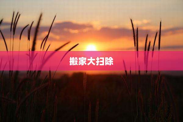 搬家大扫除