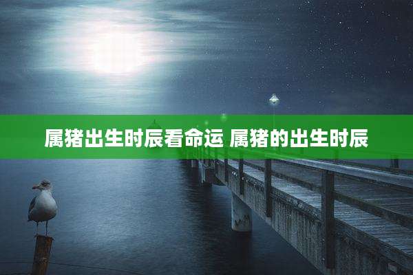 属猪出生时辰看命运 属猪的出生时辰