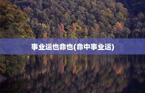 事业运也命也(命中事业运)