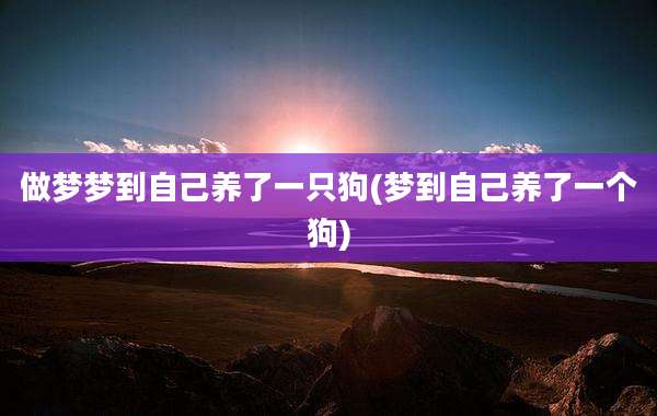 做梦梦到自己养了一只狗(梦到自己养了一个狗)