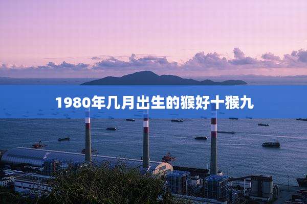 1980年几月出生的猴好十猴九