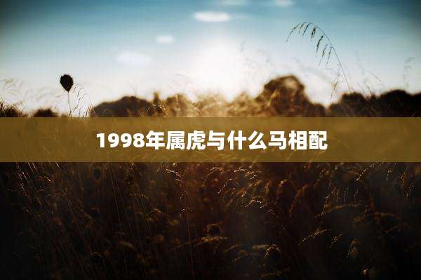 1998年属虎与什么马相配
