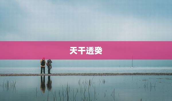 天干透癸