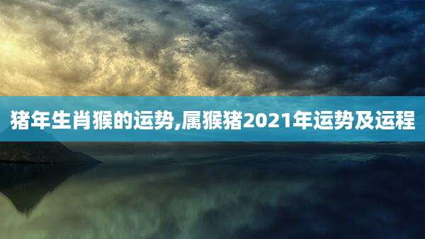 猪年生肖猴的运势,属猴猪2021年运势及运程