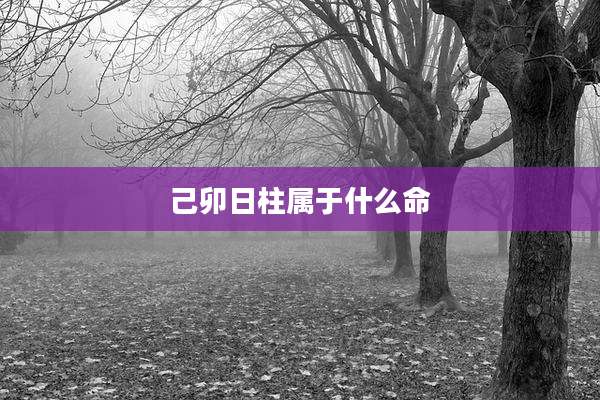 己卯日柱属于什么命