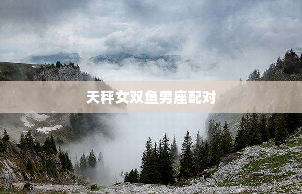 天秤女双鱼男座配对