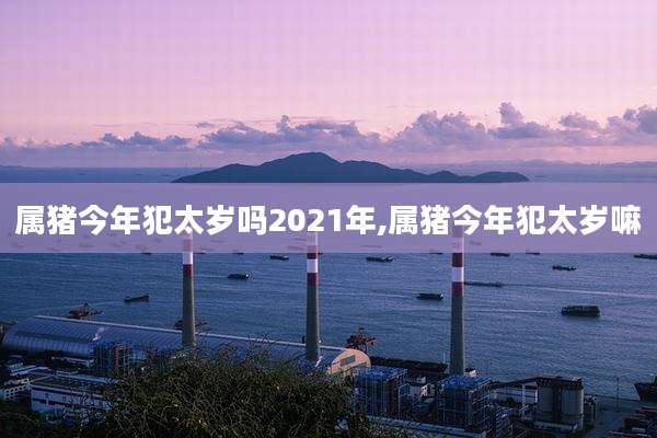 属猪今年犯太岁吗2021年,属猪今年犯太岁嘛