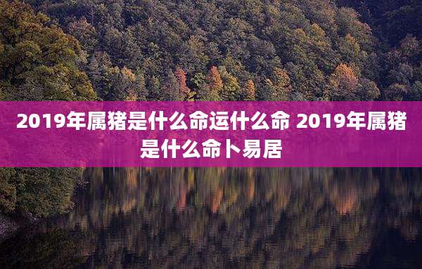 2019年属猪是什么命运什么命 2019年属猪是什么命卜易居