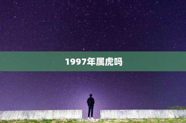 1997年属虎吗